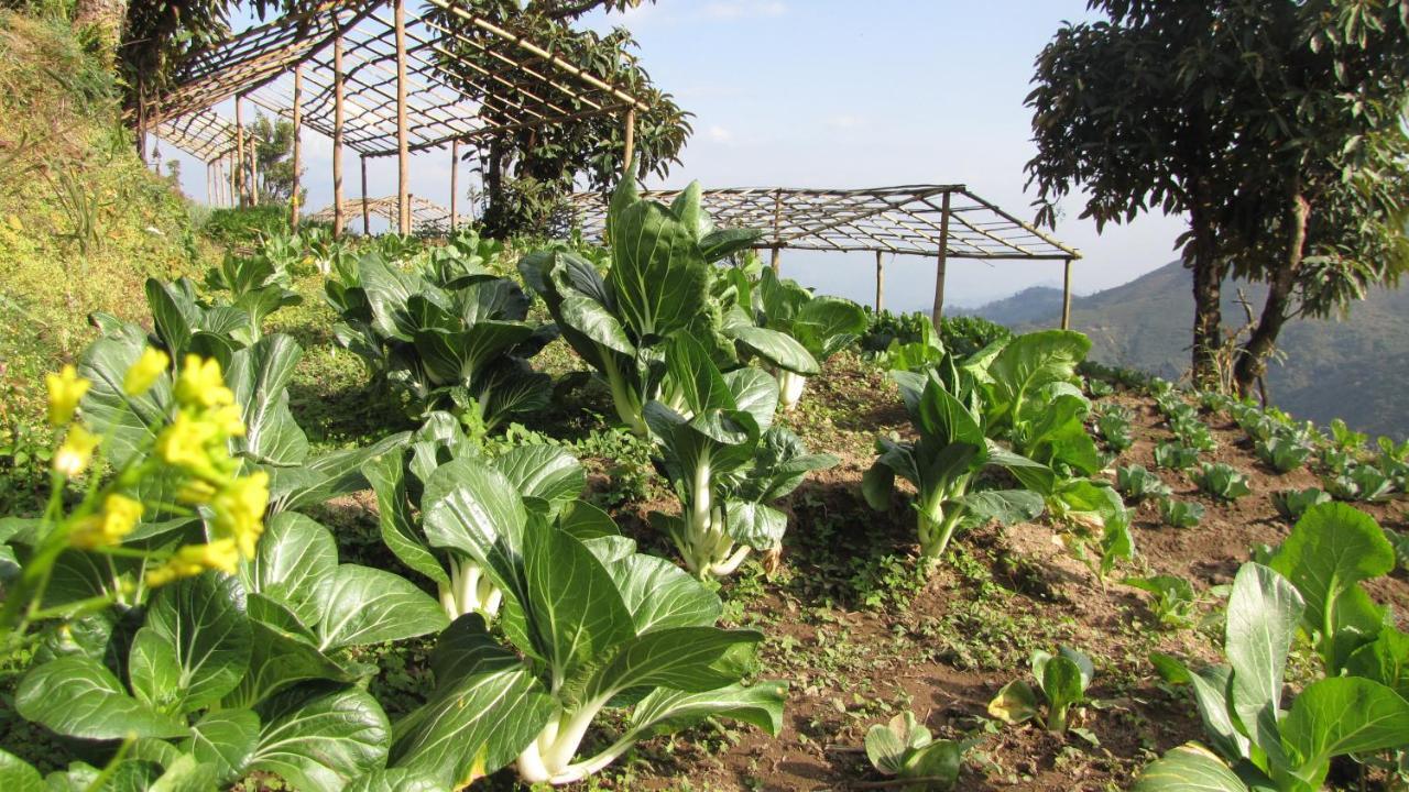 Prakriti Resort & Organic Farm Mahankal Exterior photo